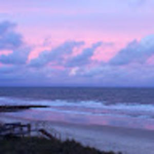 Meet your Posher, Molly